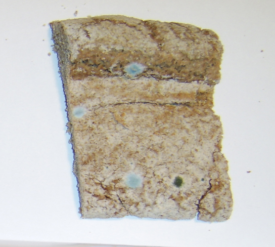 Rye bread without ozonation 